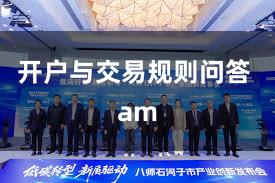 开户与交易规则问答 am